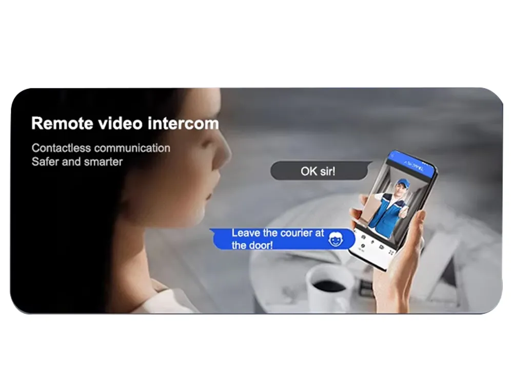 Remote video intercorm