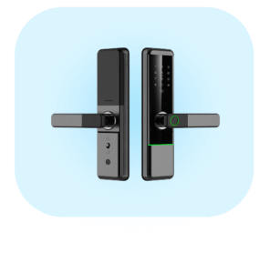 Mortise Smart Lock